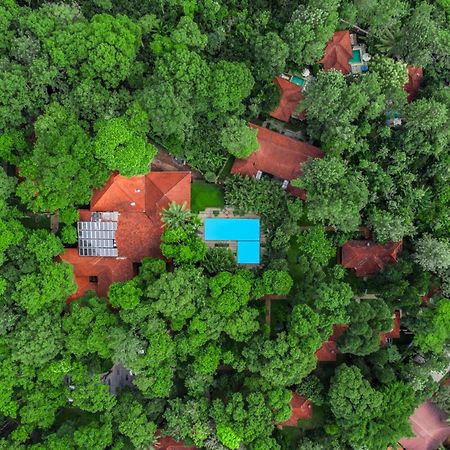 Greenwoods Resort, Thekkady Bagian luar foto